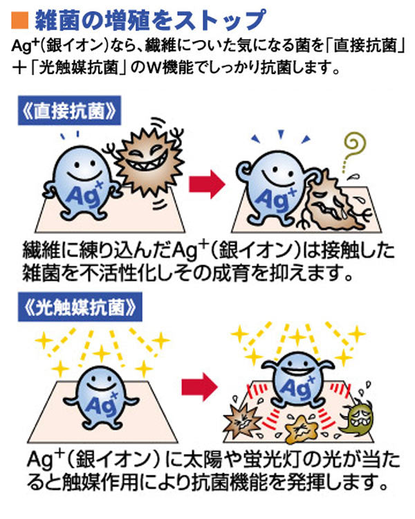 Ag+安心スリッパ ソフティ2 Lサイズ