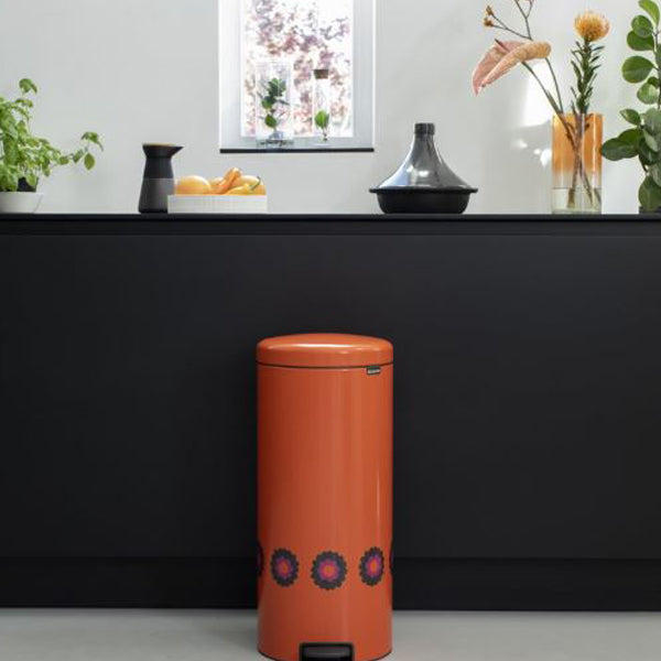 brabantia ブラバンシア ゴミ箱 100周年記念限定 ペダルビン NEWICON30リットル パトリス ふた付き