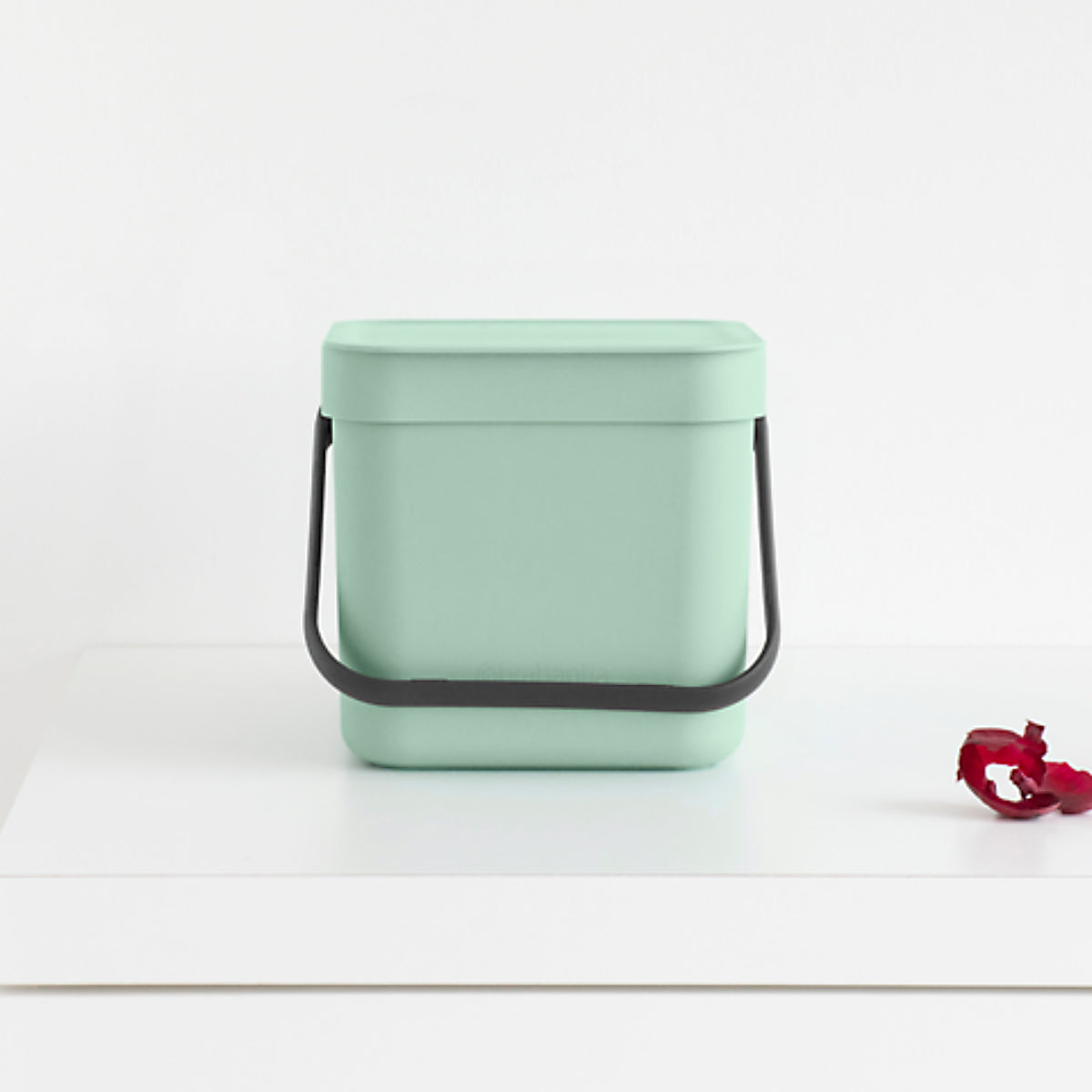 brabantia ゴミ箱 6L ソート&ゴー ウェイストビン ふた付き