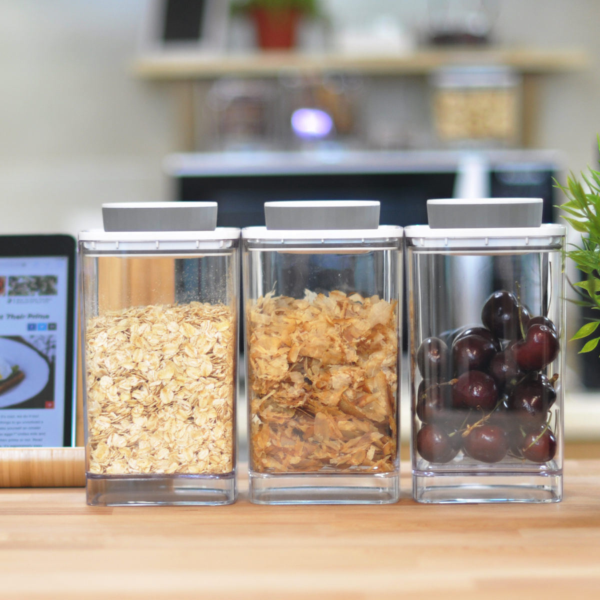 ANKOMN 保存容器 1.2L 密閉保存容器 エバーロック グレー UVカット