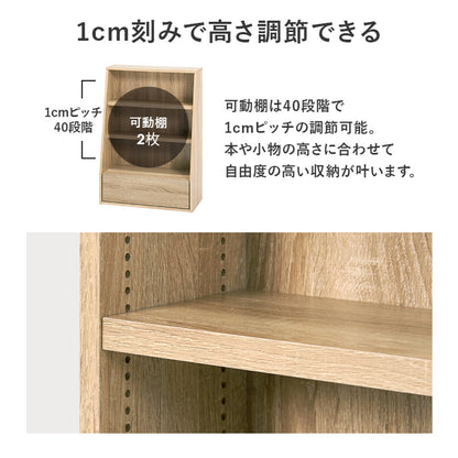 1cmピッチ可動 本棚 幅60cm ロータイプ 可動棚2枚 引出し付