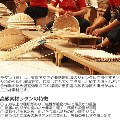 2人掛けソファ ラタン 座面高40cm クッション付 Breeze