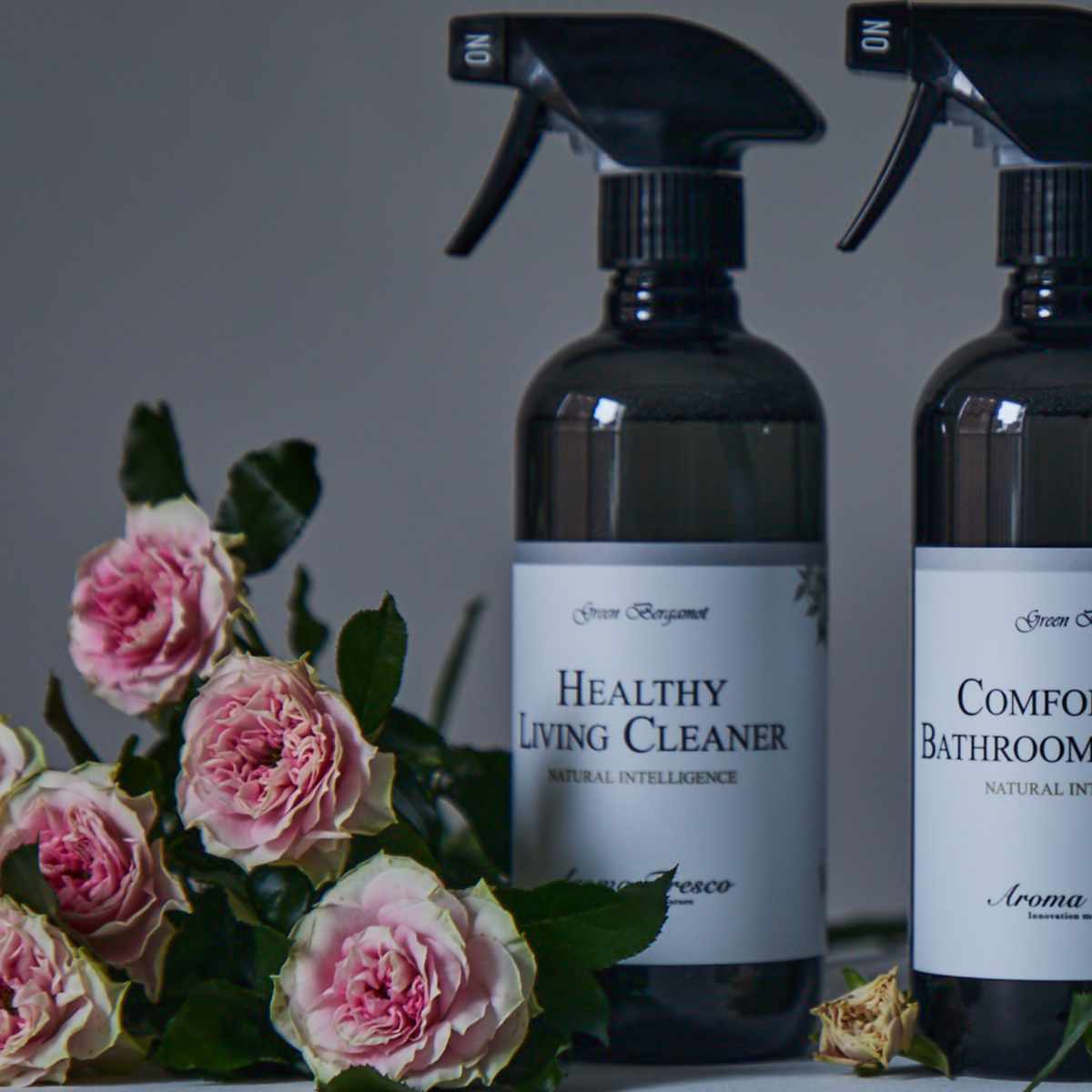 Aroma Fresco ヘルシーリビングクリーナー 480ml